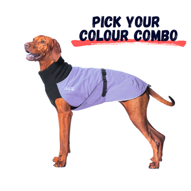 Pick Your Colour Combo: Great White North Winter Dog Coat
